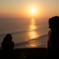 watching the sunset in Bali together with a monkey.