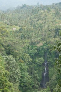 One of the many waterfalls in Bali.