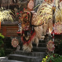 Bali is a lot of culture such as traditional Balinese dances.