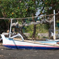 Fishing boat with fish on the beach of Bali.